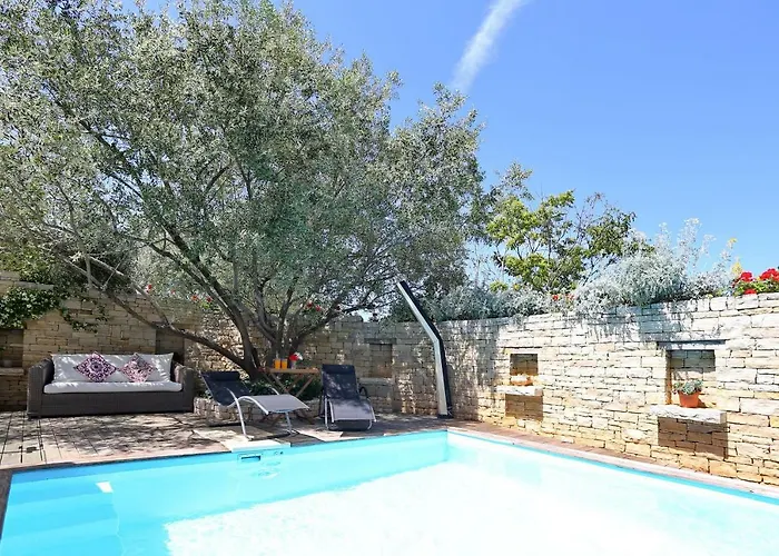 Olive's Hug Nyaraló