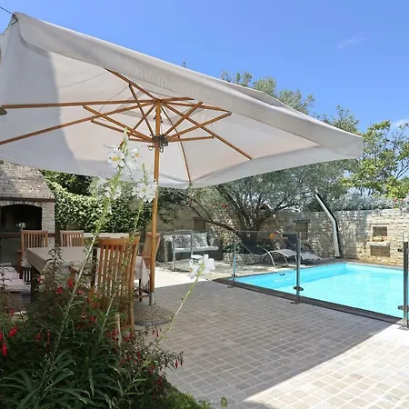 Olive's Hug Dom wakacyjny